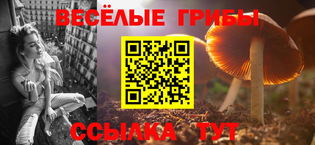 Галлюциногенные грибы Psilocybe  Вход с VPN  Омск  наркота  Псилоцибиновые грибы Cubensis 