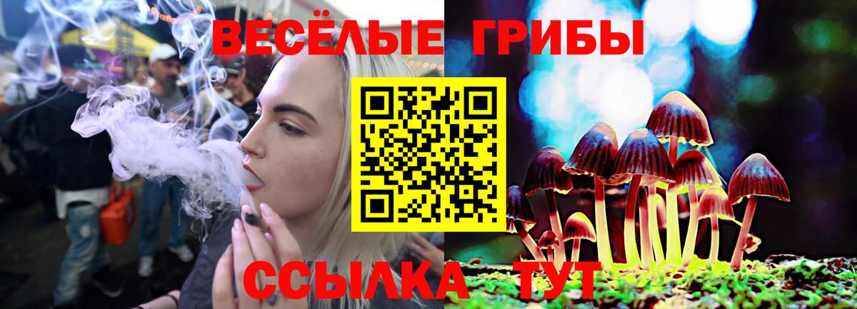 Галлюциногенные грибы Magic Shrooms Омск